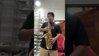 Download lagu TITANIC (SAXOPHONE COVER) - GAVIN CAPINPIN mp3