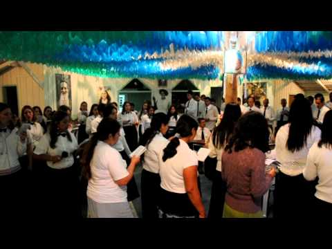 MARIA DAMIÃO - 45. SOU FILHO DA TERRA