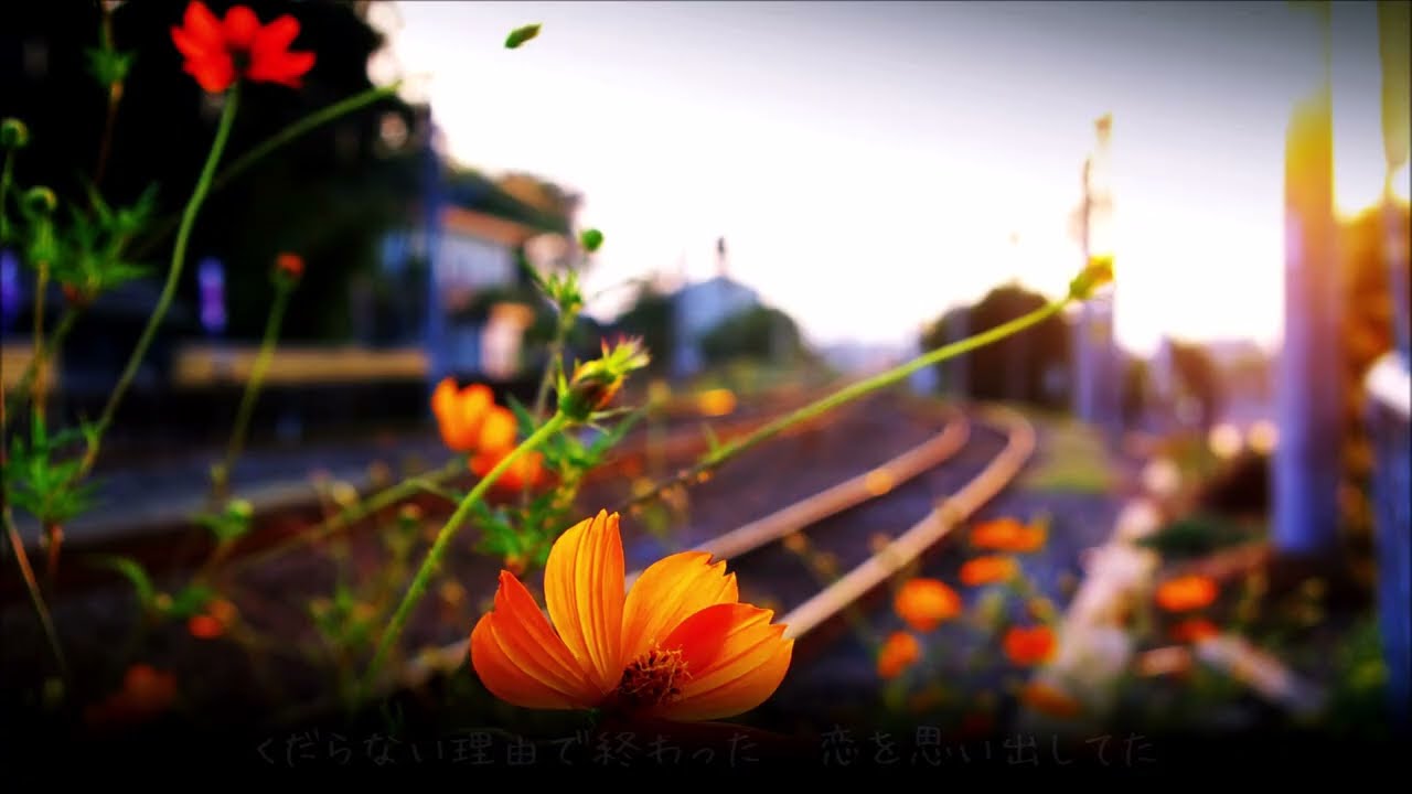 一番初めての恋人 槇原敬之 歌詞付