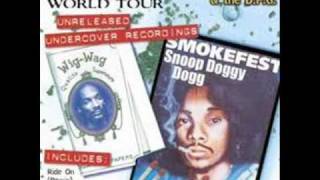 Snoop Dogg - I Will Survive