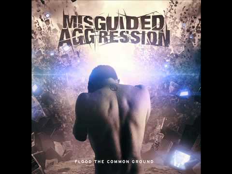 Misguided Aggression - The Visionary