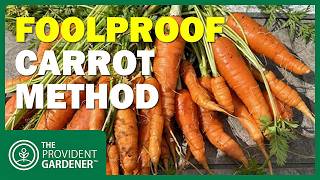Carrot Germination Made Easy: Jim’s Foolproof Method
