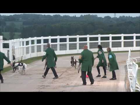 2017 STAR SPORTS DERBY - ROUND 1 HEAT 6 - T4 CLARES ROCKET (TR)