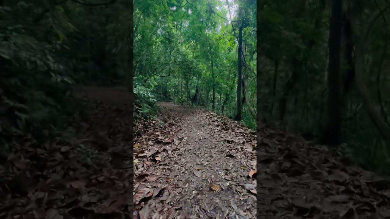 YouTube Short thumbnail