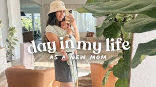 ☀️ Day in My Life as a New Mom | Routine (ish), Home Reset, and Postpartum Chit Chat