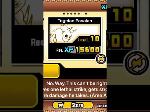 Getting Togelan Pasalan Be Like #thebattlecats