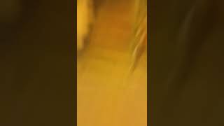 tiktok gada ahlak udah malem masih di jalan [YouTube shorts] #foryou #beranda #CapCut #voiceeffect