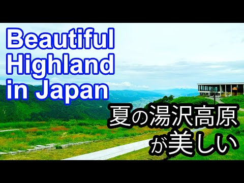 夏の越後湯沢が美しい！新緑が楽しめる湯沢高原ロープウェイと湯沢高原