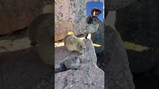 Download lagu Day 40: at the top of Windom Peak mp3