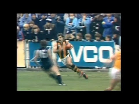Leigh Matthews Hawthorn Highlights