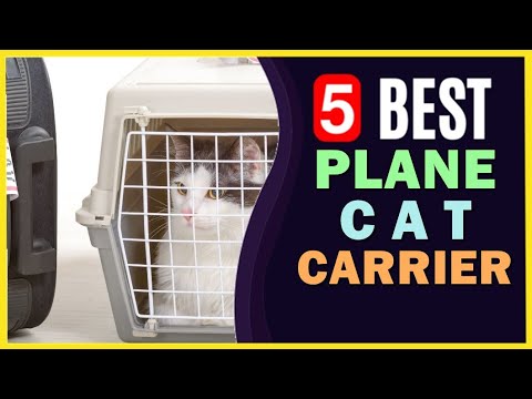 🔥 Best Cat Carrier for Plane in 2022 ☑️ TOP 5 ☑️