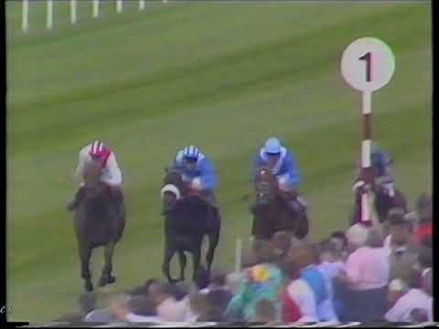 1988 Richmond Stakes Heart Of Arabia Inc Replay