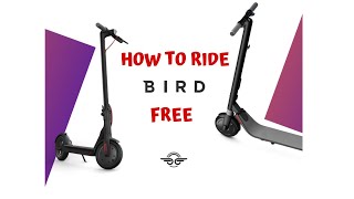 HOW TO RIDE BIRDS SCOOTERS FOR FREE!!!
