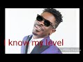 Shatta Wale My Level With Lyrics