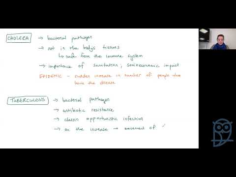 Live Lesson: AS Biology - Infectious Diseases