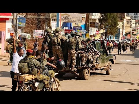 Alt Text: A detailed infographic showing the step-by-step process of photosynthesis in a plant leaf. Image Title: Visual b...