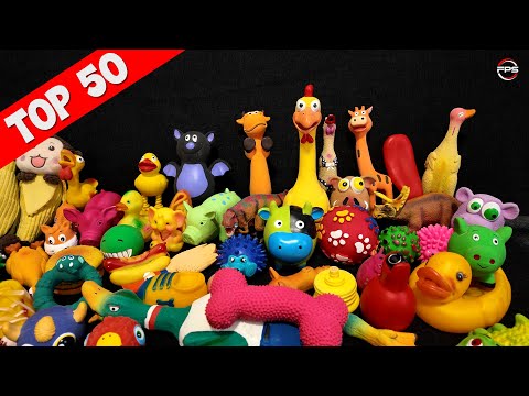 50 Squeaky Toy Dog Toys 🔊 Sounds That Dogs Love The Most 🐶