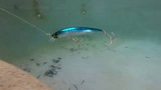 Yo-zuri 3d crystal minnow jointed