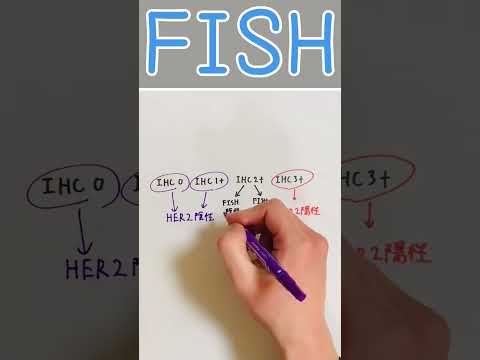 薬学科 【薬学部生・新人薬剤師向け】 HER2陽性か陰性か