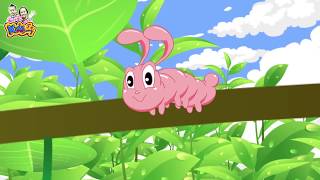 เพลงหนอนกระดึ๊บกระดึ๊บ | หนอนต้วมเตี้ยม | เพลงเด็ก พี่นุ่น น้องภูมิ   KidsMeSong