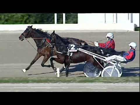 Napoli Trotto 23/12/2022 - 2ª corsa