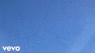 Saro - Boy Afraid (Pseudo Video)