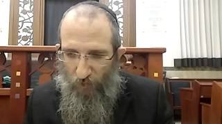 הרב ברוך וילהלם - תניא - ליקוטי אמרים - המשך פרק מו