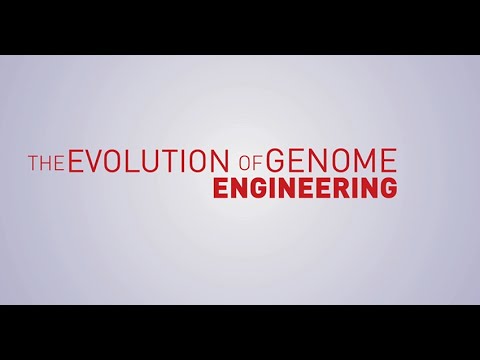 The Evolution of Genome Engineering