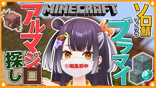 【Minecraft】喉激ロー人間の真夜中ブラマイ＆アルマジロ探し #5【海妹四葉/にじさんじ】