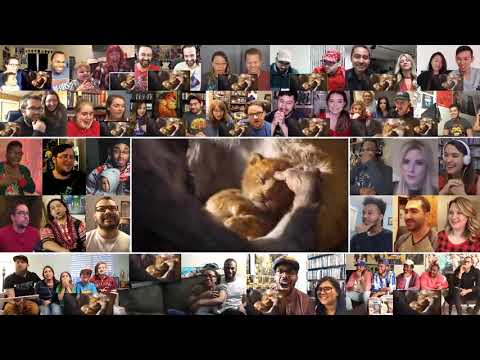 The Lion King Official Teaser Trailer Mega Reactions Mashup