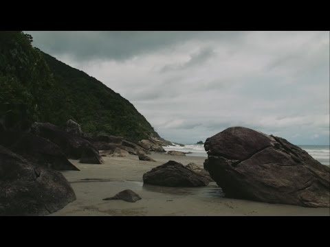 A Sudden Burst of Colour | Riptide (Official Video)