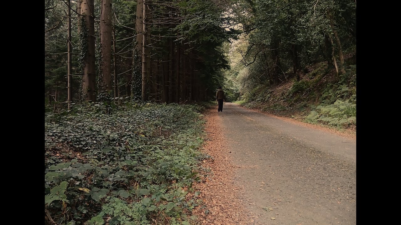 You'll Be With Me   The Vanishing Triangle