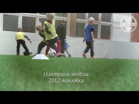 Viipv 2019 ikäkausi_1