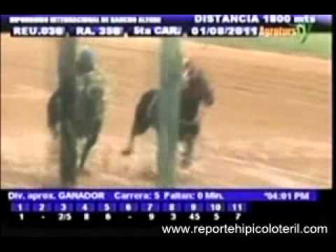 Resumen Lunes 01 de Agosto 2011 - Rancho Alegre
