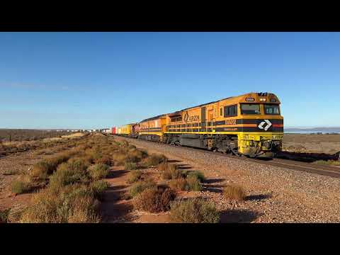 Trains in South Australia: Early Morning Darwin Freight