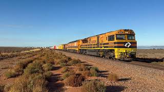 Trains in South Australia: Early Morning Darwin Freight
