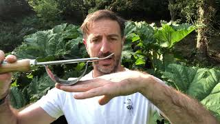 The Greenman Dandelion Weeder