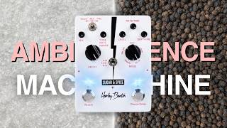 How THEY DO IT?? An ambience machine FOR 80 BUCKS! Harley Benton SUGAR & SPICE