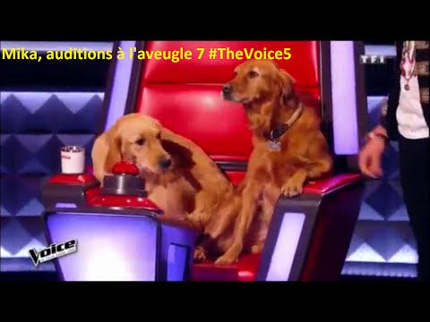 Mika, auditions à l'aveugle 7 #TheVoice5