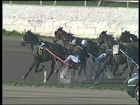 Trotto 05/11/2015 - 2° corsa