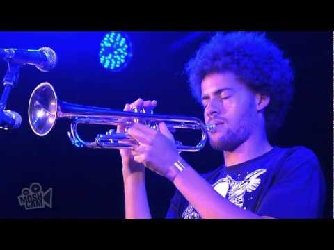 True Vibenation - The Drum (Live in Sydney) | Moshcam