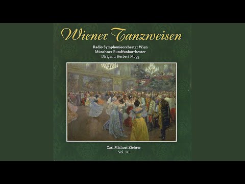 Evatöchter Walzer Op. 448