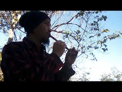 Mizo overtone flute solo
