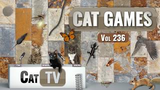 Download lagu CAT Games | Ultimate Cat TV Compilation Vol 236 | 8 HOURS 🐝🐞🦋🦎🦜🐜🐭🧵 mp3