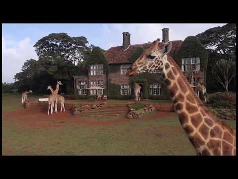 Giraffe Manor video tour thumbnail