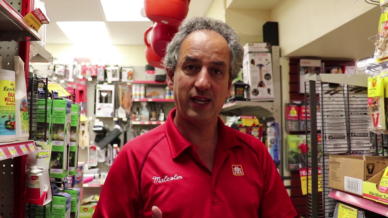 Bye Bye Bed Bugs! - Toronto Home Shows