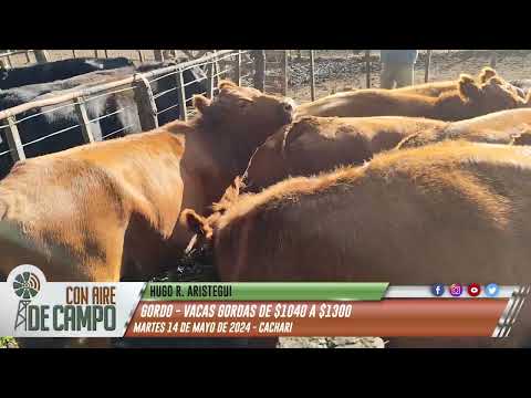 Resumen del remate de Hugo R. Aristegui - Martes 14 de mayo de 2023 - Cacharí