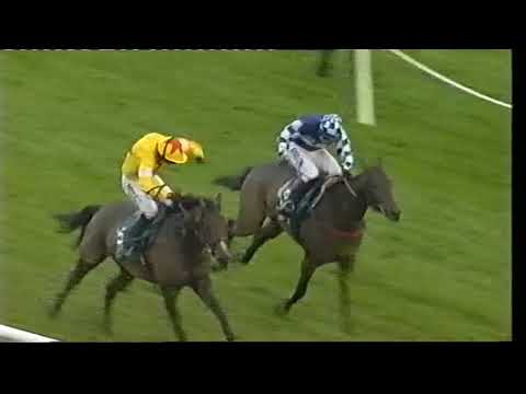 2007 Anglo Irish Bank Novice Hurdle - Cheltenham Open meeting