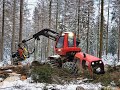 🌲Komatsu 951 • Stark-Holz • Harvester • Part-2 • Kampf um den Käfer🌲