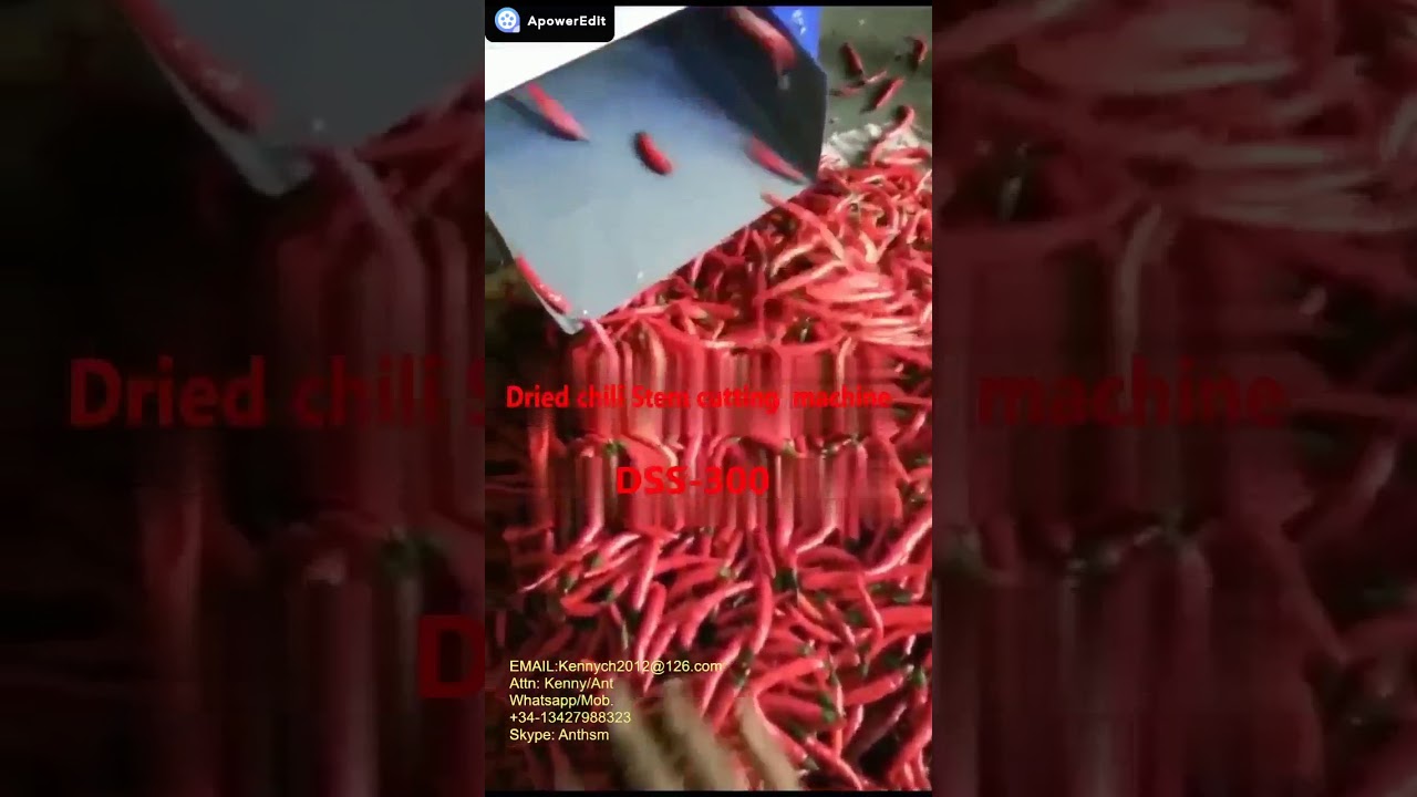 DSS-300 dry chili stem cutting machine Chili stem removing machine, stem removal machine